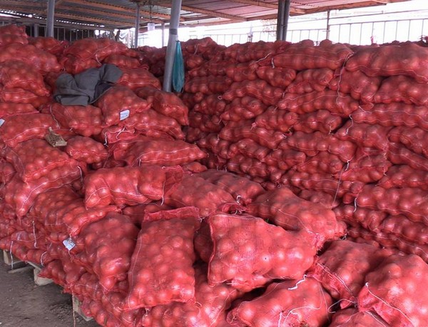 Vidéo. Mauritanie-Maroc : les acteurs de la filière légumes demandent la suppression de la hausse de la taxe douanière