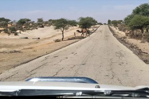 Coronavirus: en Mauritanie, le trafic routier reprend et les passagers affluent