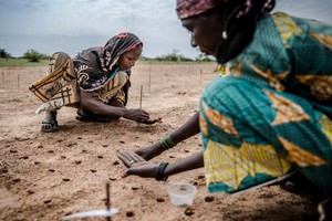 Au Sahel, des solutions numériques pour protéger et valoriser les terres