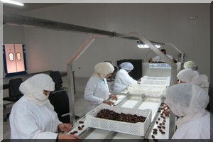 Mauritanie: bientôt une usine de conditionnement de dattes/légumes à Adrar 